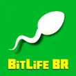 BitLife BR MOD APK