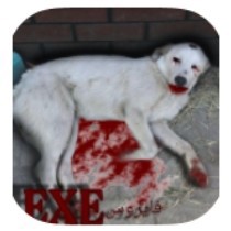 Dog 666 APK Dog 666 APK