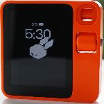 Rabbit R1 APK Rabbit R1 APK